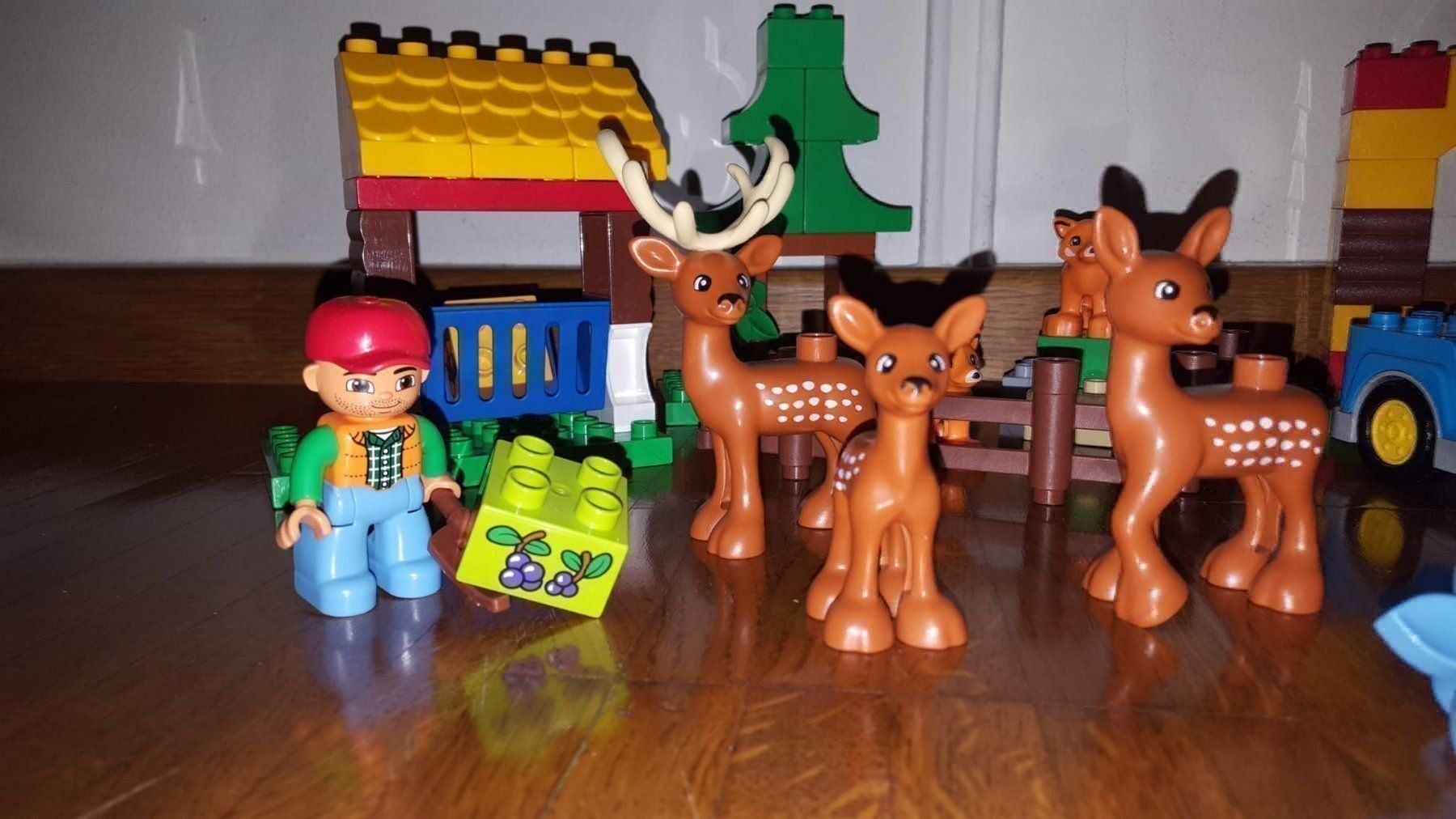 Lego Spielzeuge: Lego Duplo Wildpark 10584 – Gebraucht aus Wittenbach von Gugielmo 2
