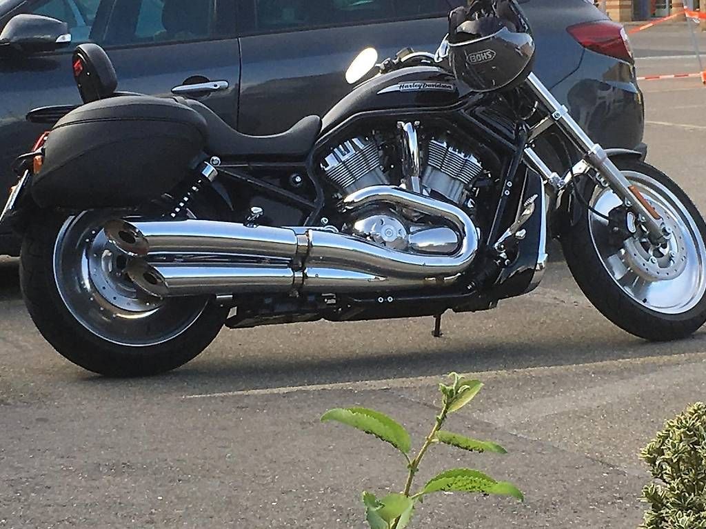 Chopper: Harley Davidson VRSCB VROD – Gebraucht aus Kleindöttingen von mar_6t65