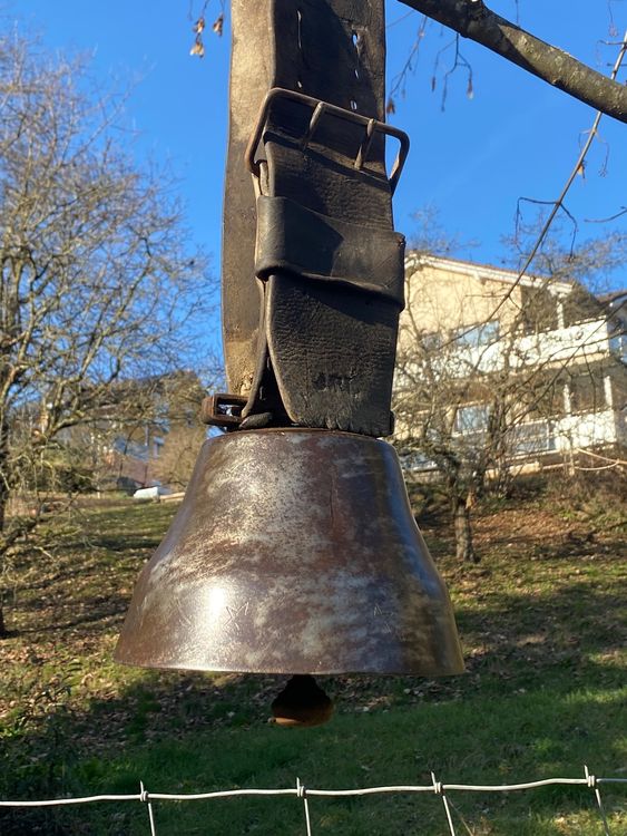 Ginfonr 5D Diamond Painting Diamant La Peinture Éléphant Lion