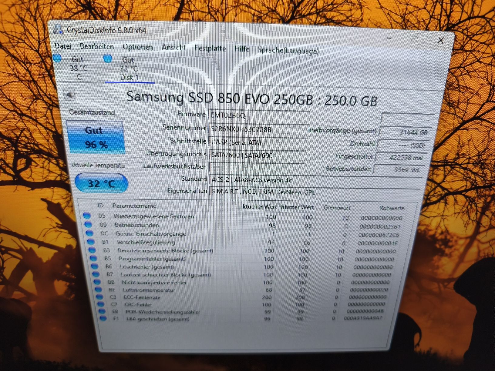 Samsung Harddisks: 2 Festplatten Samsung 250 Gb – Gebraucht aus Burgdorf von weggu.666 2
