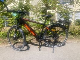 E Bike 45 Km/h Trelago Speedster Radmotor defekt