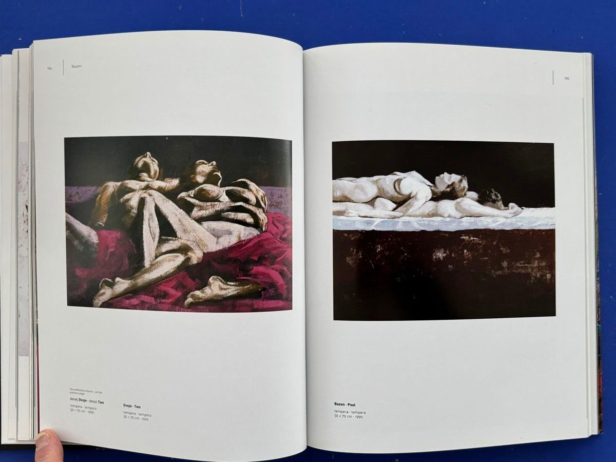 Libri: Goran Petrac. Retrospektive 2013. Katalog – Usato da Adliswil venduto da buch_und_kunst 4
