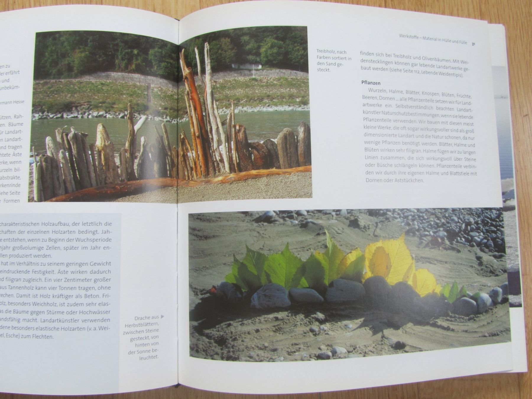 Libri: Naturwerkstatt Landart – Usato da Seengen venduto da mikelele 3