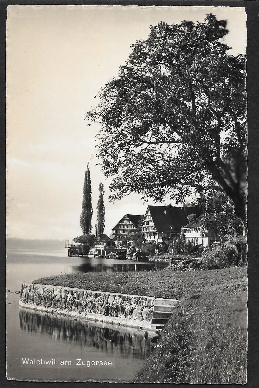 Cartoline postali: Walchwil am Zugersee Teilansicht – Usato da Olten venduto da clotaldi
