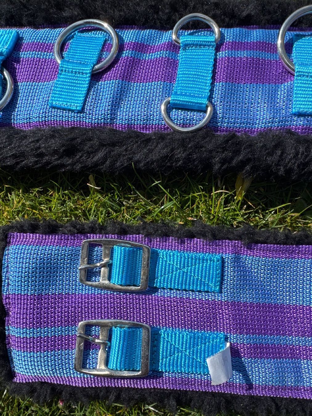 Gürtel: Longiergurt Pony, violet/blau – Gebraucht aus Elsau von CTN20 3