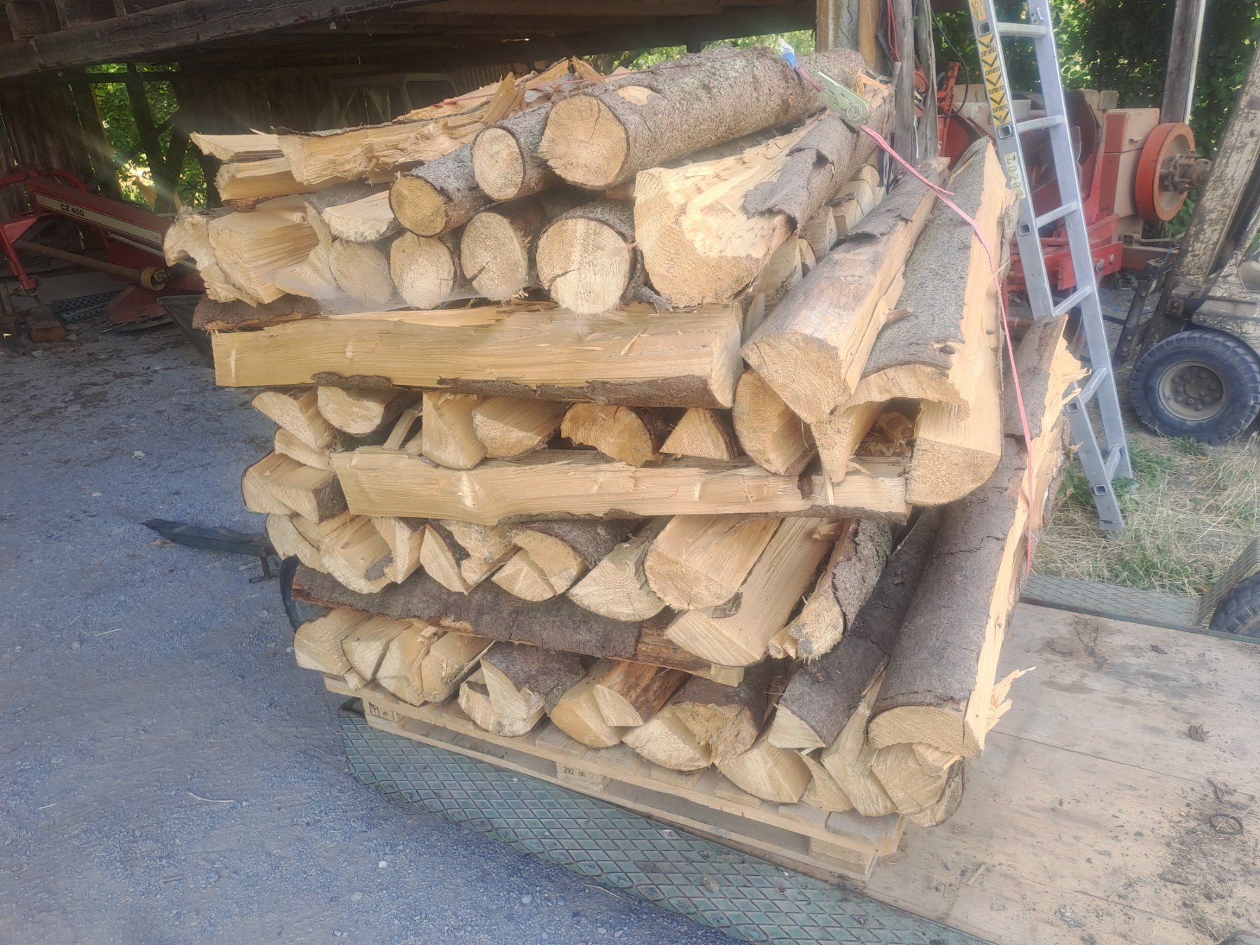 Articoli in legno: Brennholz Tanne trocken – Usato da Roggwil TG venduto da kellerthomaserbel 2