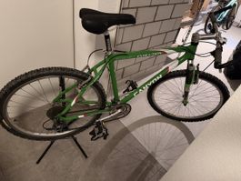 Canyon Evolution Mountainbike Gruen - Super Zustand, sofort 