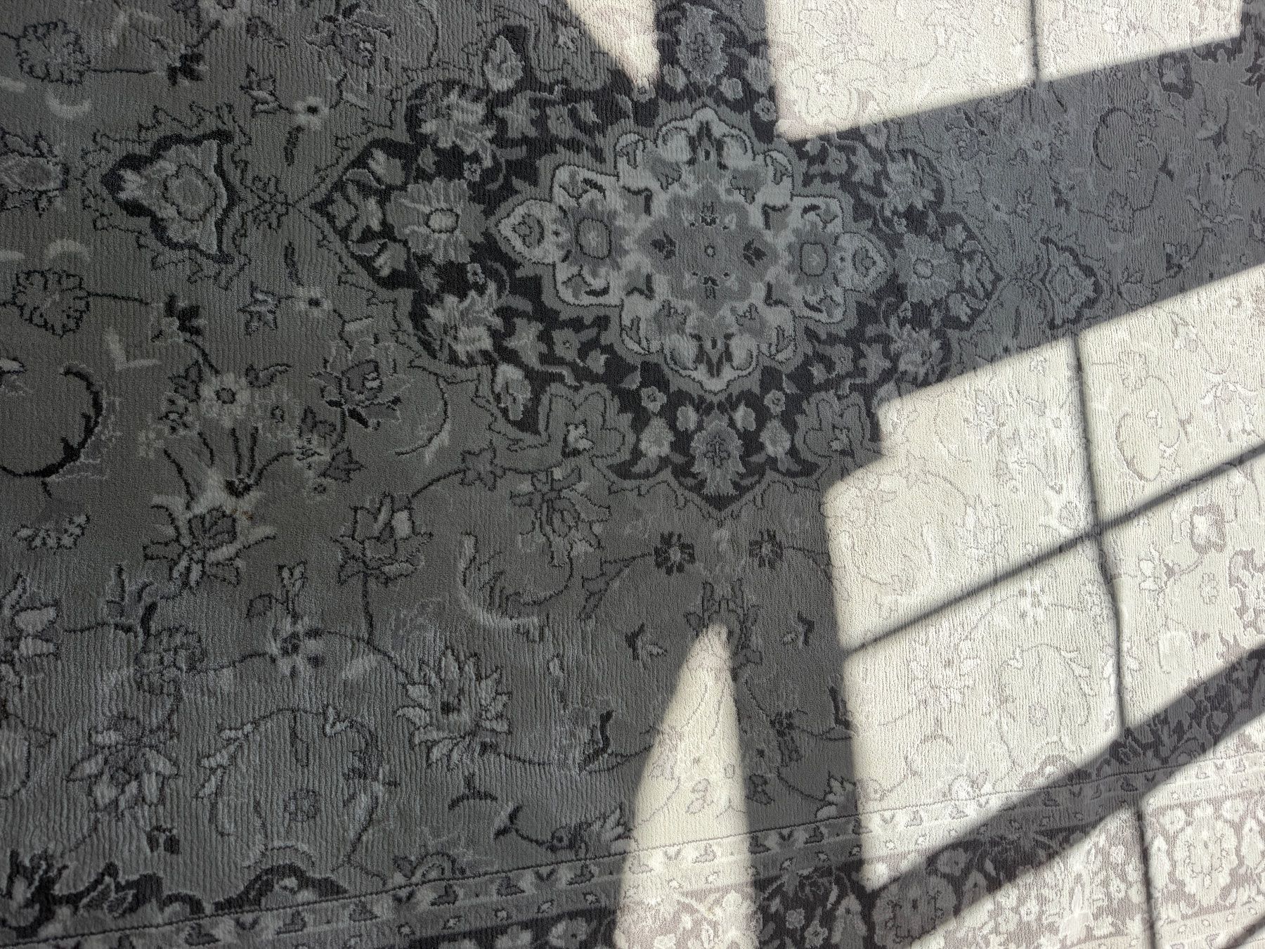 Ikea Tappeti: TEPPICH GRAU MUSTER IKEA ca 200 x 400 cm – Usato da Brunnen venduto da Evoiii 5