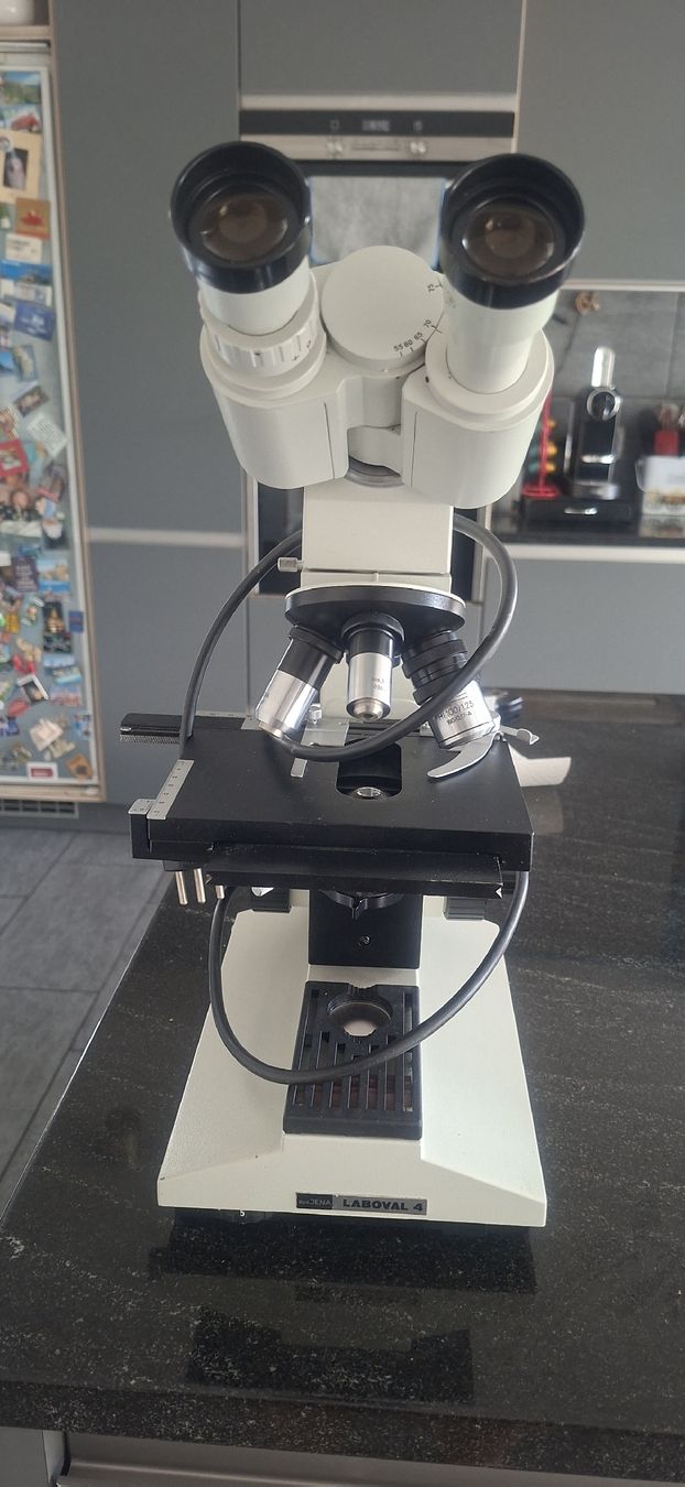 Microscopes: Microscope – Défectueux à Villars-Ste-Croix par gae_ty7d
