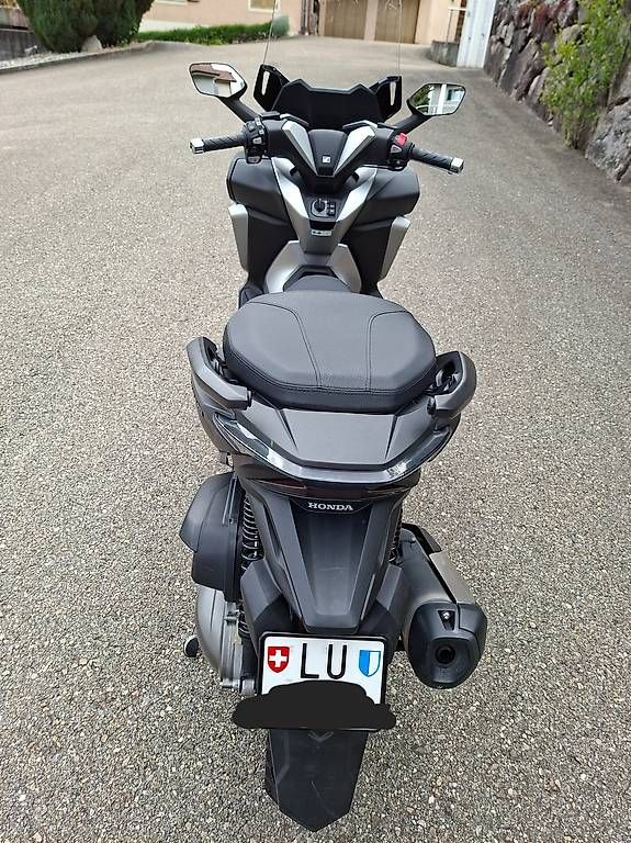 Scooters: Honda Roller NSS 300 Forza – Gebraucht aus Richenthal von lisa03 4