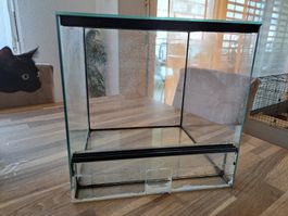 Zu verkaufen Aufzucht/Kleintierterrarium 30/30