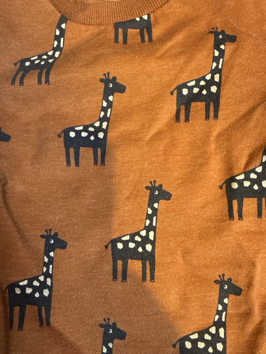 C&A Pullover & Sweatshirts: pulli gr 98 – Gebraucht aus affoltern am albis von anj_yb2x 1