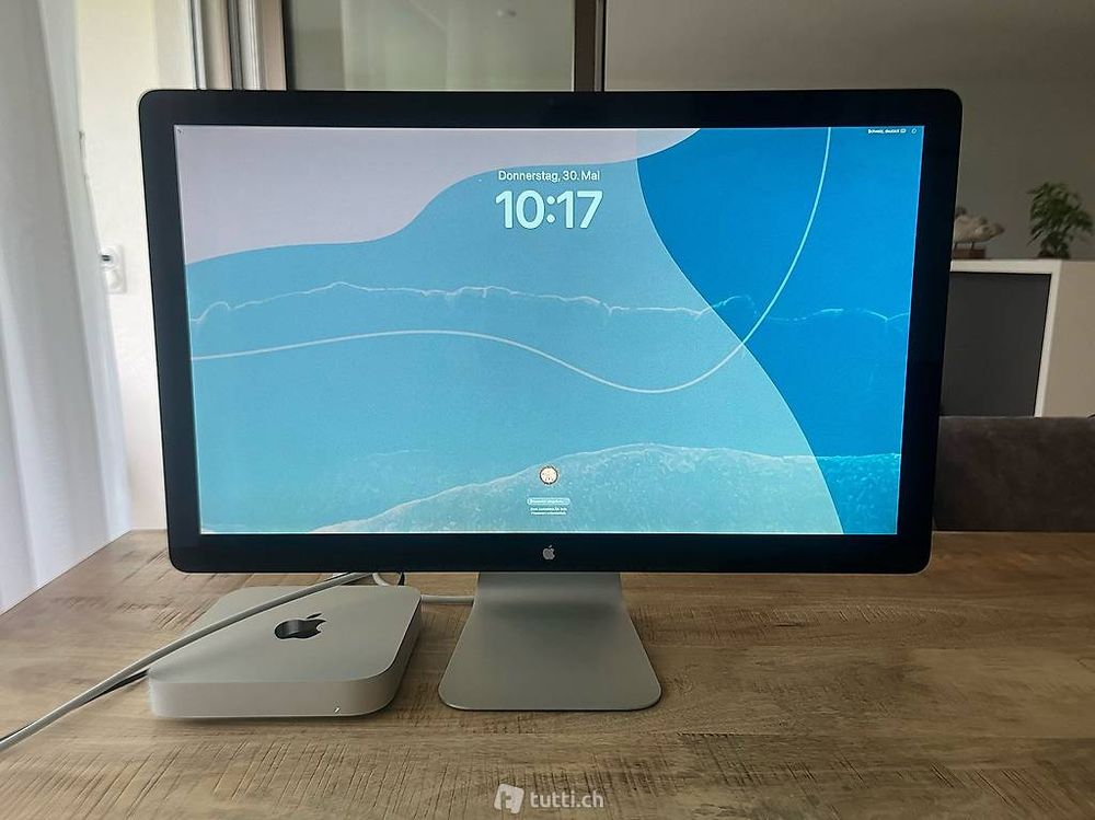 Monitor Apple Thunderbolt inkl. Thunderbolt 3 zu USB Typ-C (Gebraucht ...