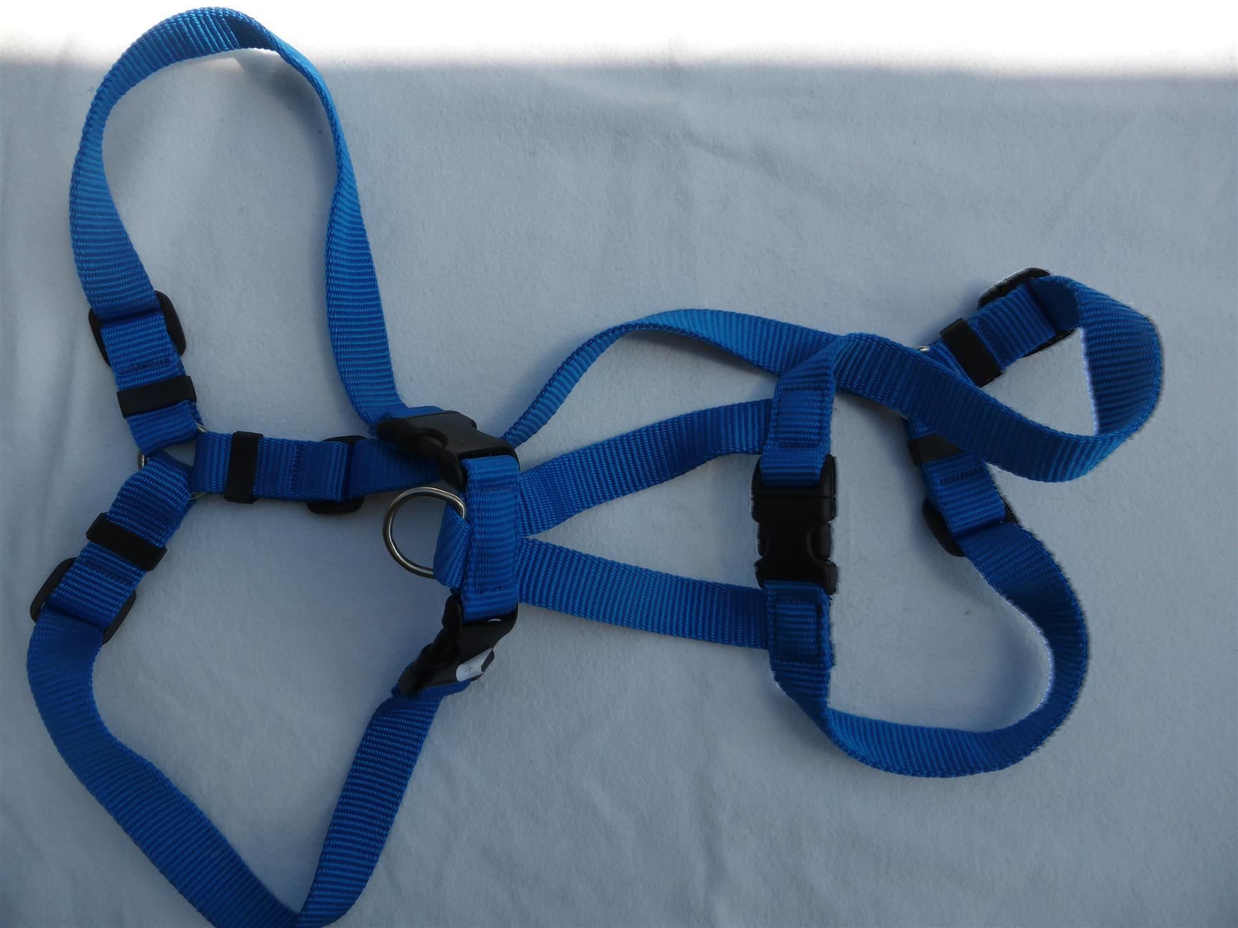 Leine & Halsband: Geschirr Nylon blau  L / XL – Neu und originalverpackt aus Schübelbach von Bemafaja