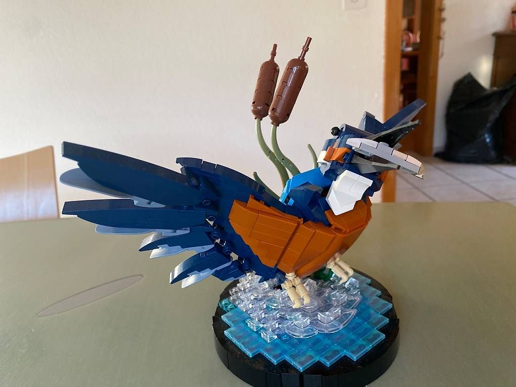 Kit di costruzioni: LEGO 10331 - Le martin-pêcheur - 834 pces – Usato da Bassecourt venduto da reggilou01 1