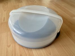 Kuchentransportbox mit Einsatz gut erhalten