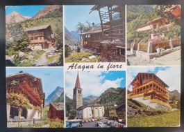 Alagna in Fiore Valsesia ALAGNA   1962