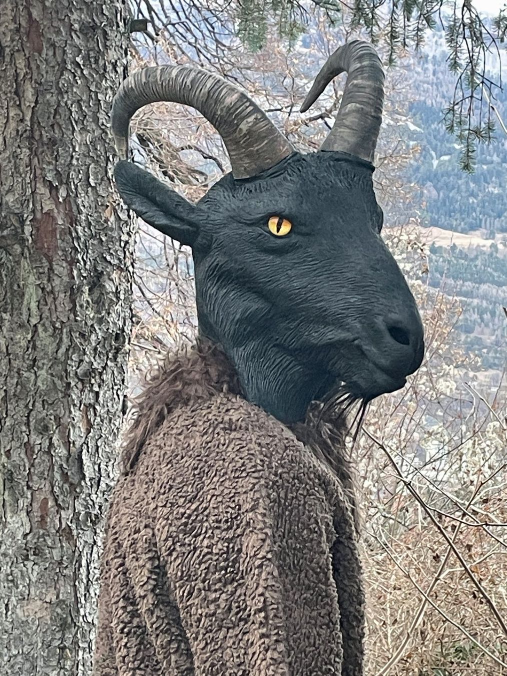 Costumi: Steinbock-Kostüm Braun – Nuovo (secondo la descrizione) da Chur venduto da elifor 5