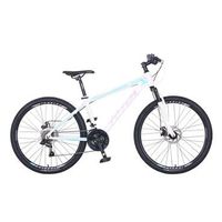 Bike 26 Zoll