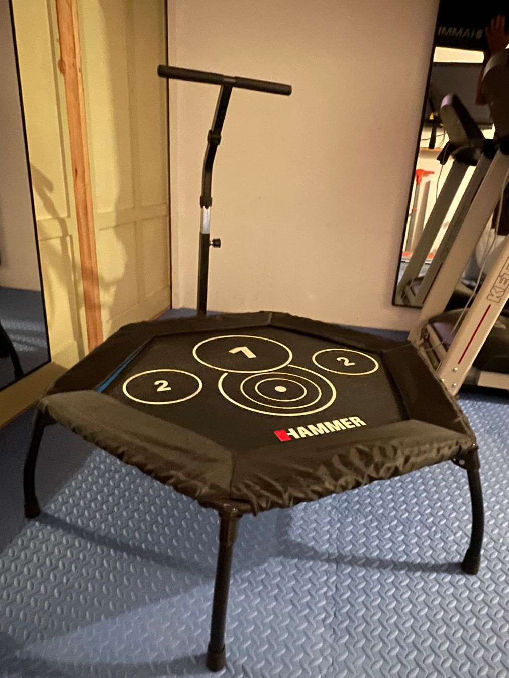 Trampoline: Hammer Fitness-Trampolin Cross Jump – Gebraucht aus Sirnach von Motorbiene007