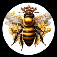 Profile image of SO_4500_SO