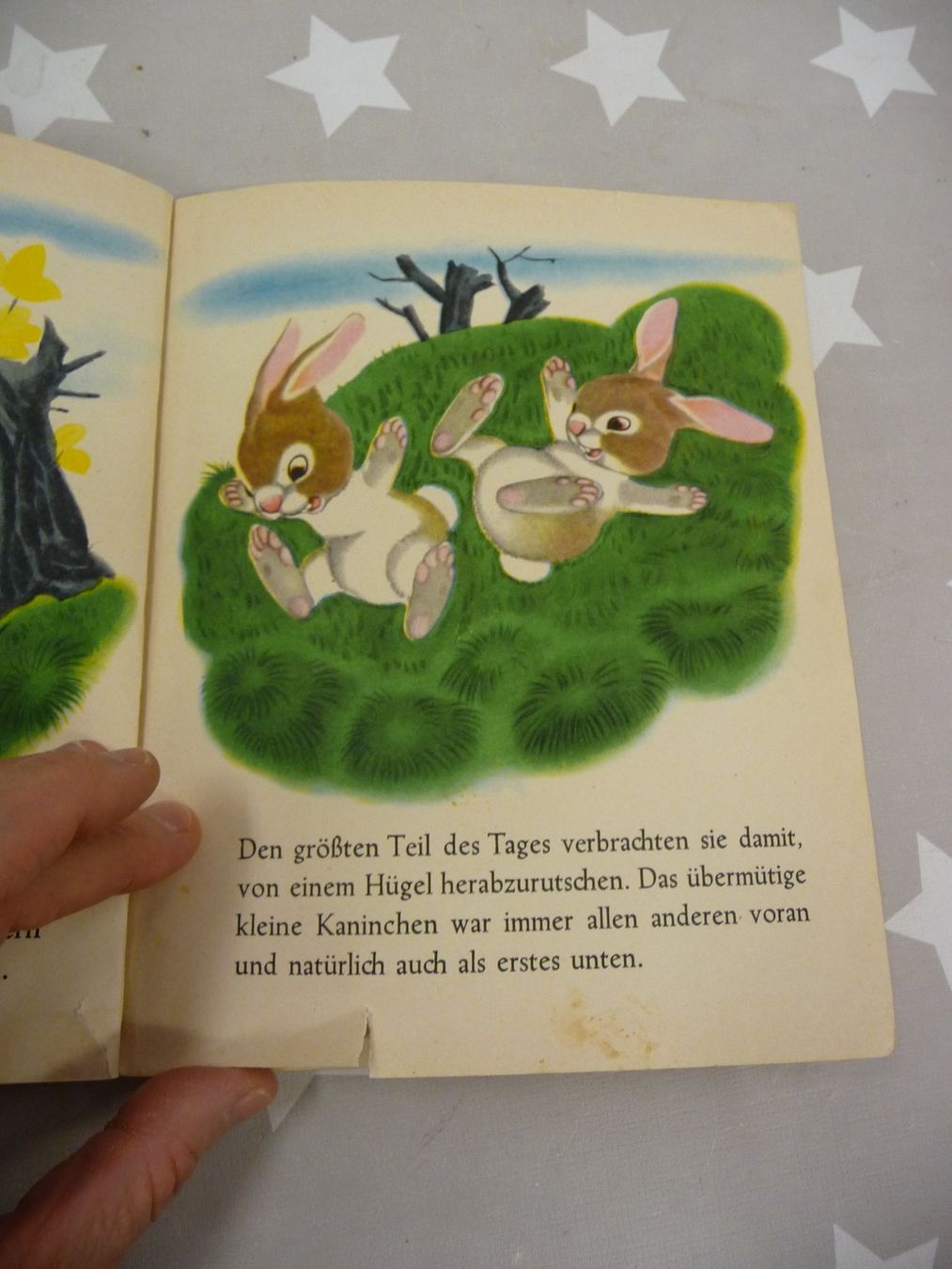 Libri: Buch: Das übermütige Kaninchen – Usato da Rafz venduto da Powacaddy 5