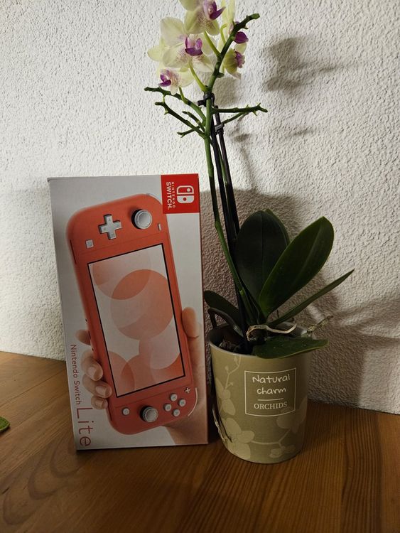 Nintendo Switch Lite | Kaufen auf Ricardo