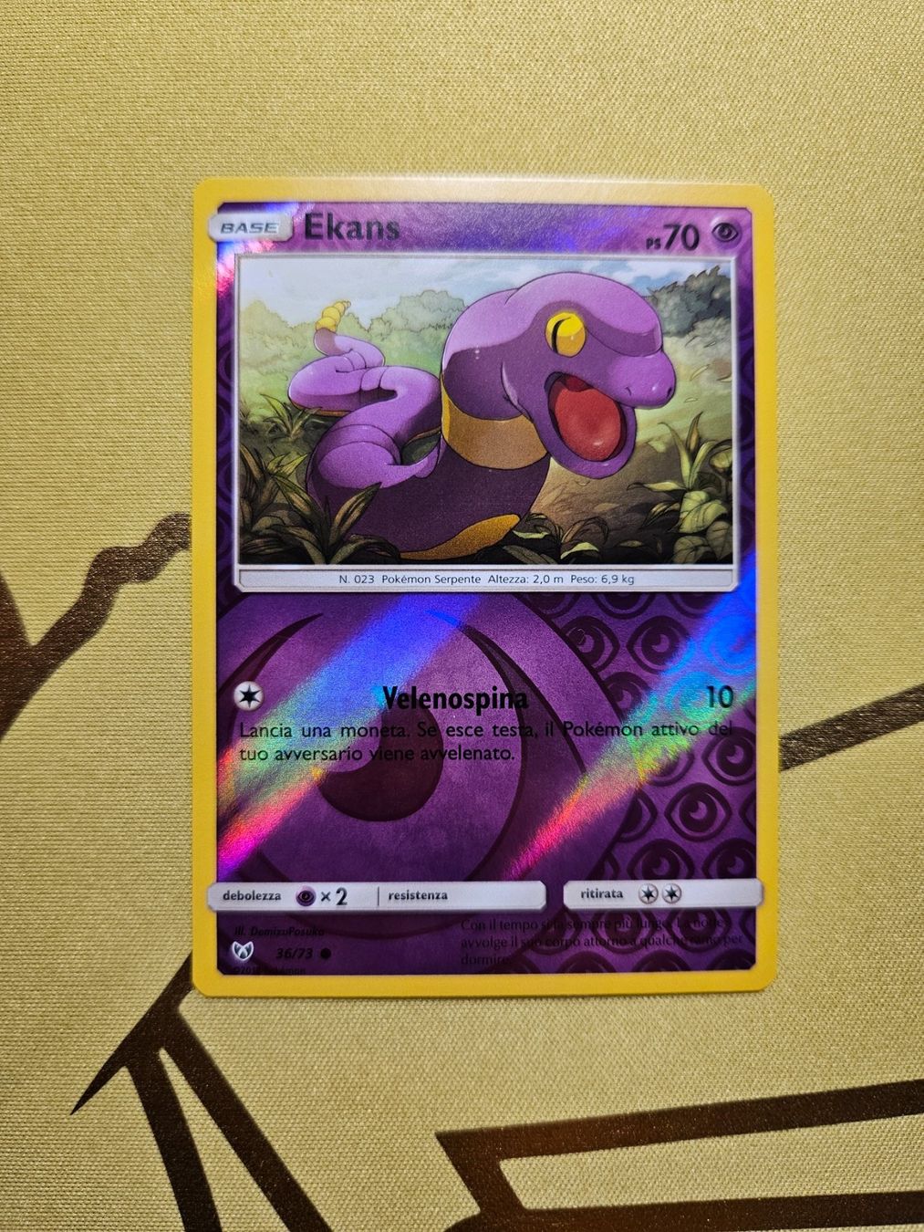 Pokémon Carte collezionabili: Shining Legends - Ekans – Usato da Bellinzona venduto da Pokemarco