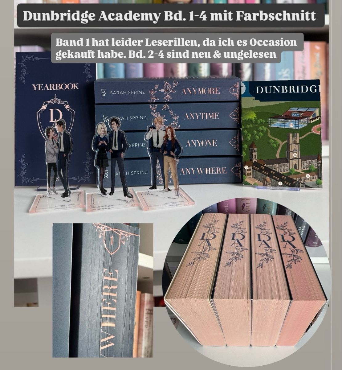 Libri: Dunbridge Academy  – Usato da Wiesendangen venduto da Solangwibraight