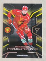 Sportzoo  Prime Prospects   Felcman   Langnau