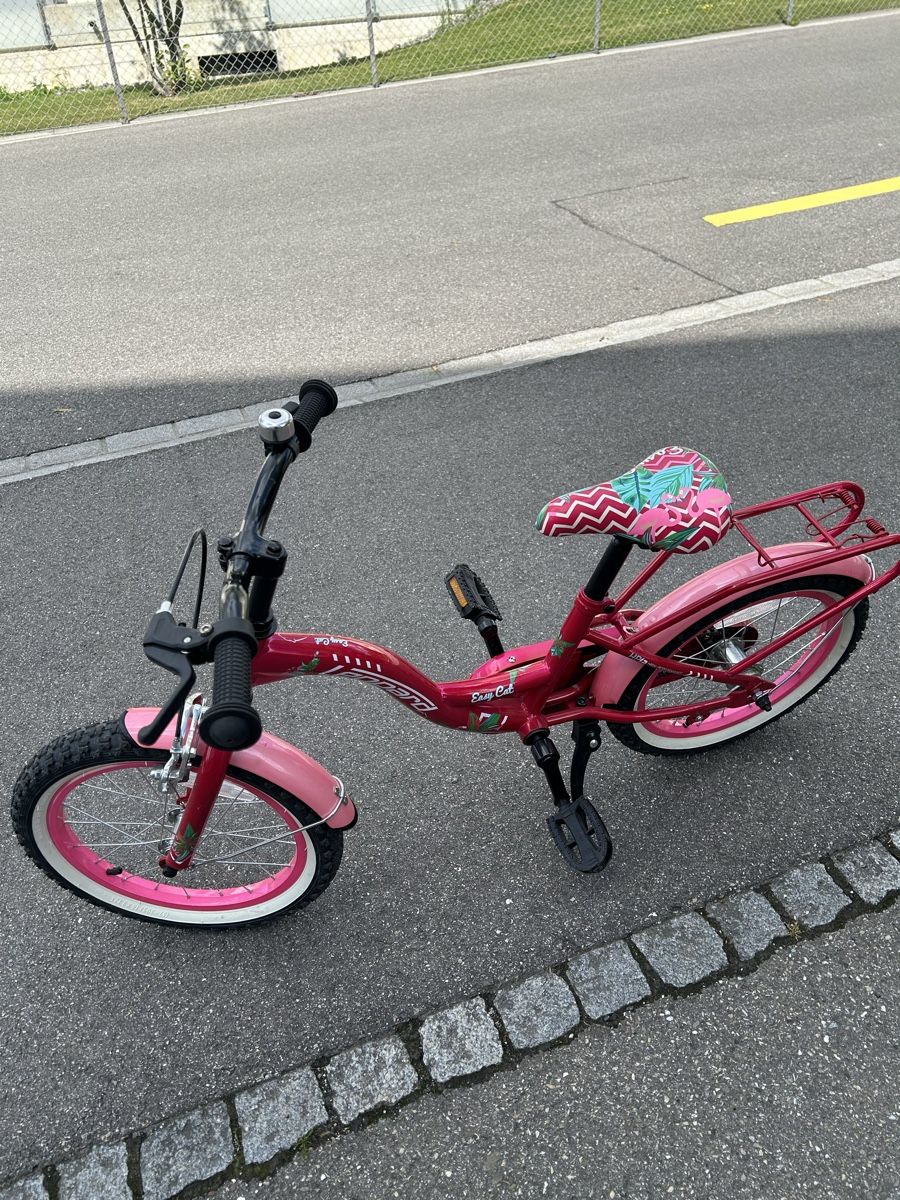Leopard Biciclette: easy cat wenig gebraucht – Usato da Egerkingen venduto da G1970B