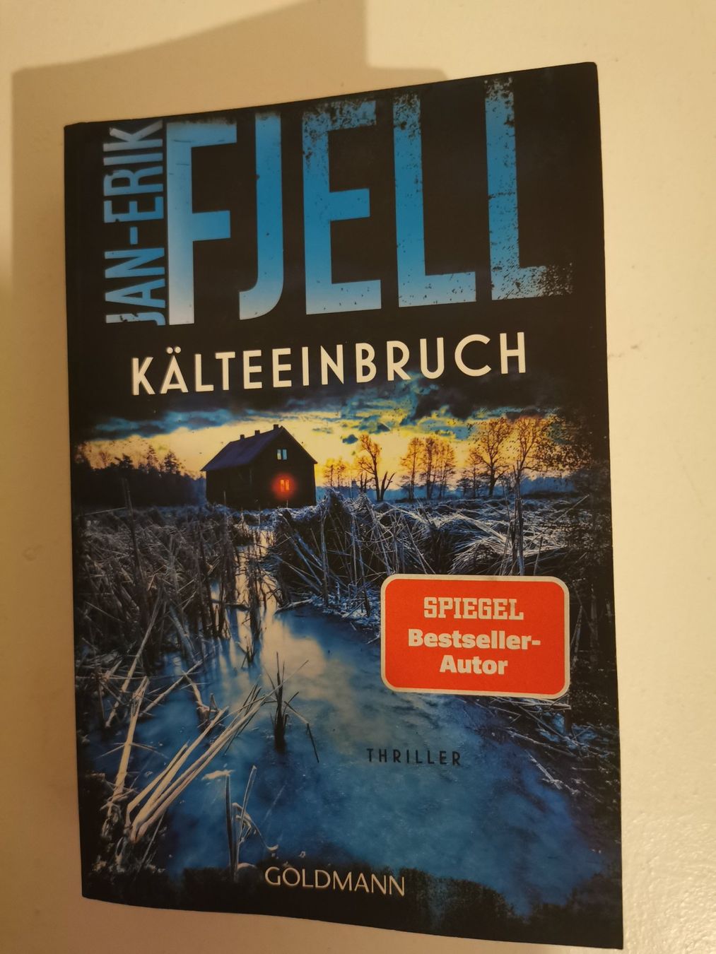 Livres: 10 Krimis/Thriller – D'occasion à bern par jeannie2006 5