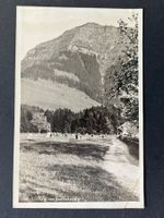 Rigi von Seebodenalp, Hotelstempel, Vieh / 1931