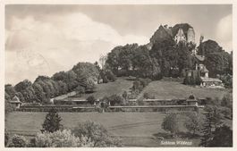 Schloss widegg