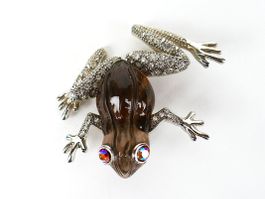 Frosch Brosche