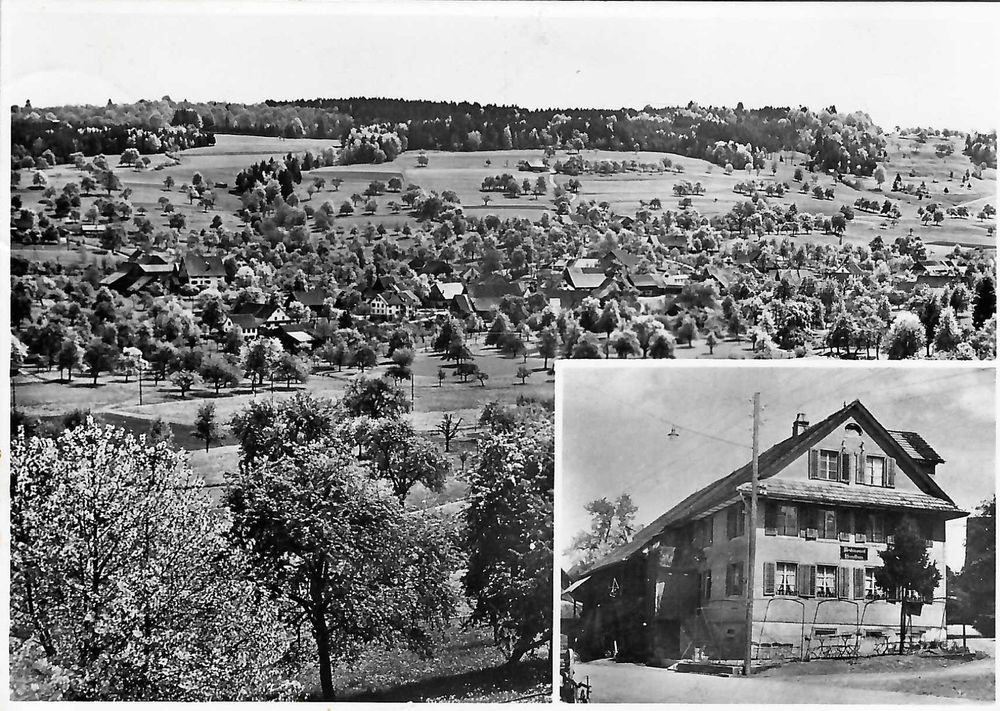 Neftenbach ZH Aesch 2 Bildkarte Totalansicht Nr.7596 , 1944 | Kaufen ...