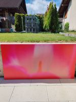 TULPE Bild auf Aluminium (LETZTE CHANCE)
