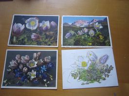 No2 Postkarten Anemonen ab 1934