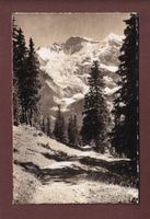 Wengen - Weg nach METTLENALP - 1939
