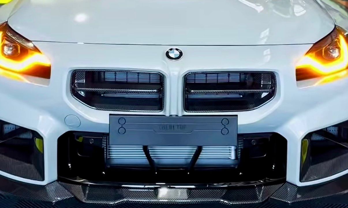 BMW Tutti pezzi di ricambio auto: M2 G87 Carbon Nieren – Usato da Bülach venduto da 444FFF 1