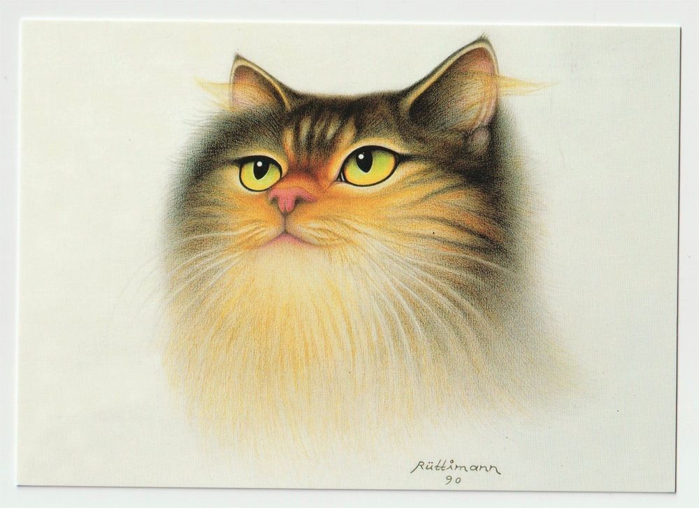 Kunstkarte Postkarte Hans Rüttimann (Neu (gemäss Beschreibung)) in ...