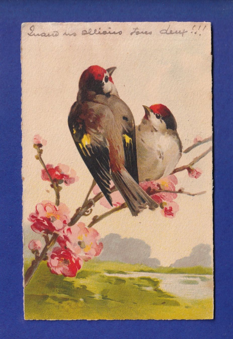 Ansichtskarten: OISEAU par Klein – Gebraucht aus Pully von nicecards-shop