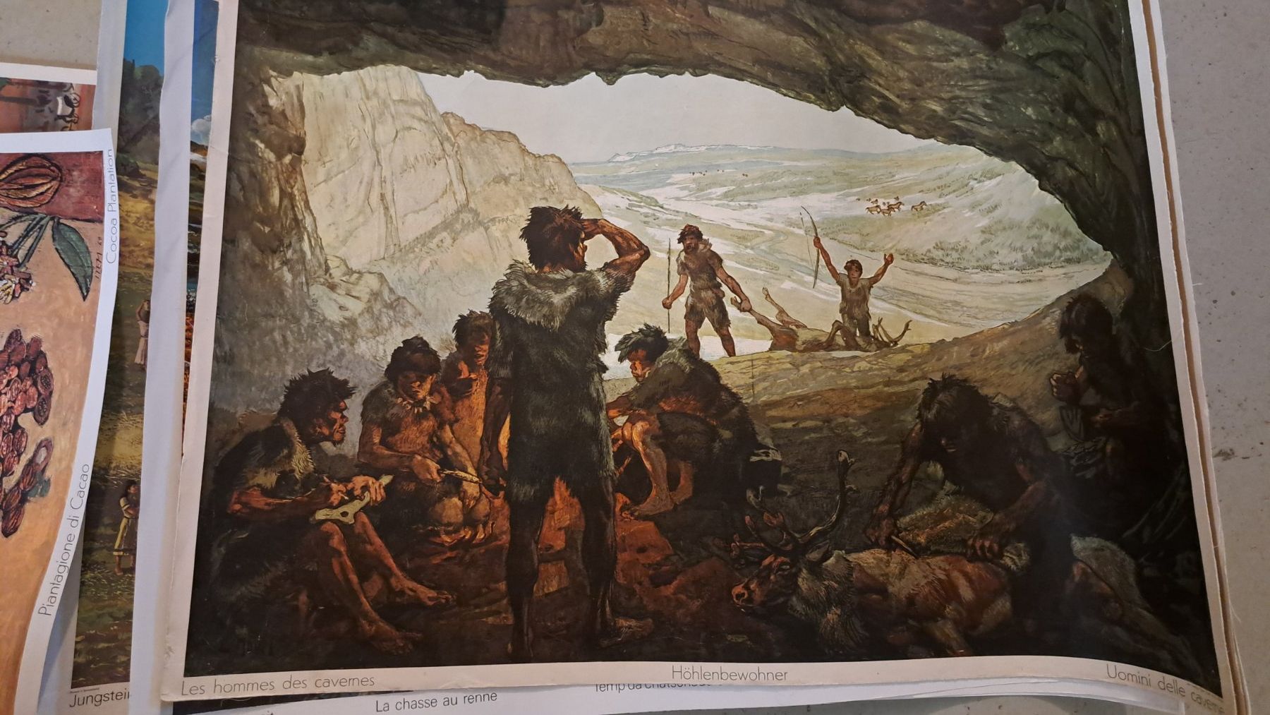 Posters & Illustrations: Schulwandbilder – D'occasion à Flawil par Dodo68 5