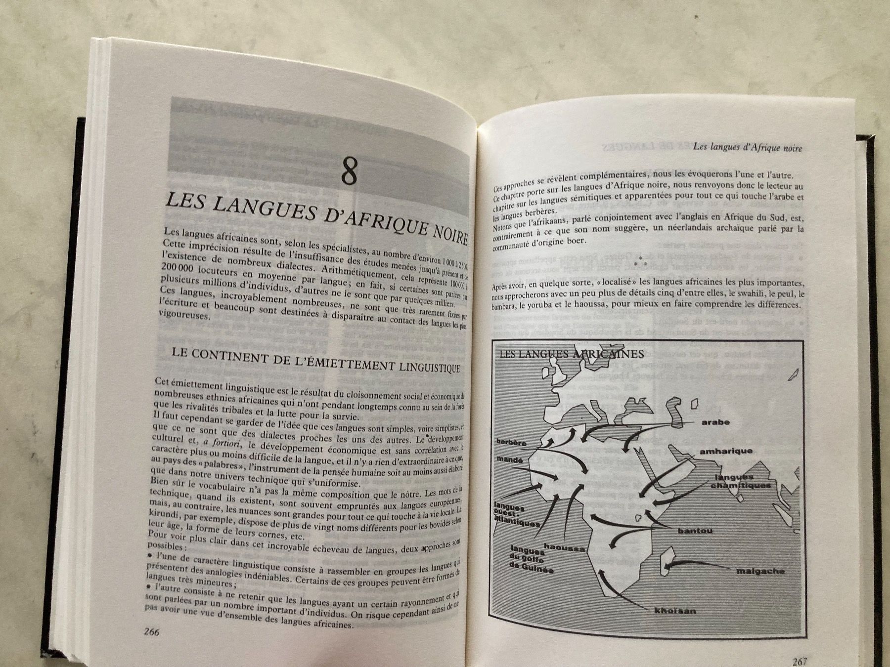 Libri: Languages de l'humanité – Usato da Châbles FR venduto da Tunturi7 2