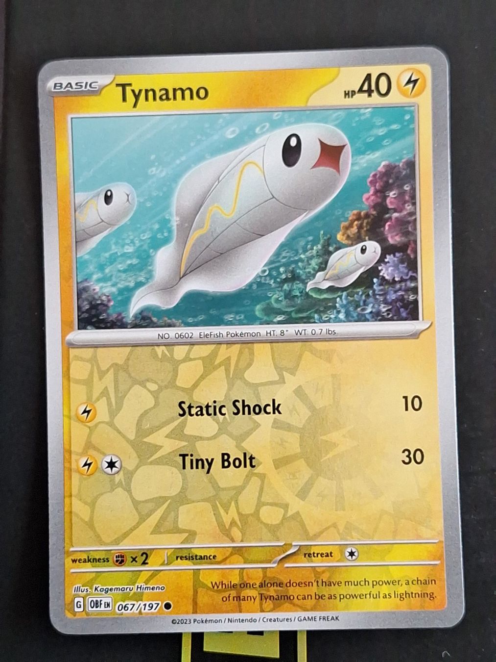 Pokémon Carte collezionabili: Tynamo - Pokemon Reverse Holo Obsidian Flames – Usato da Altstätten SG venduto da GGsGameshop