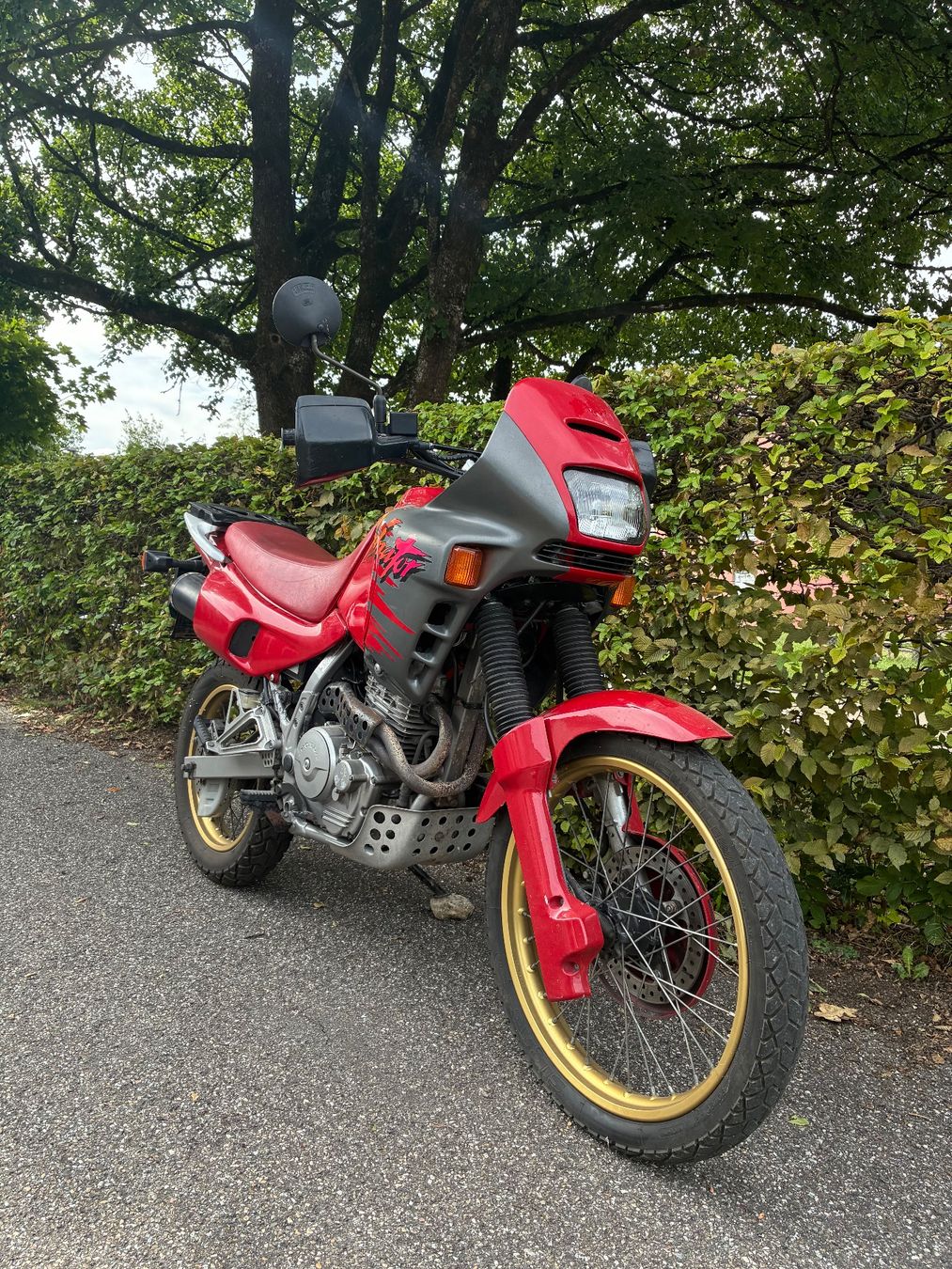 Honda Enduro: Honda Dominator 650 – Usato da St. Gallen venduto da zx10r 3