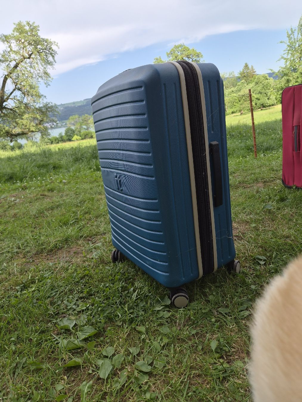 Valigie: IT Reisekoffer – Usato da Hochdorf venduto da TT_GARAGE 1