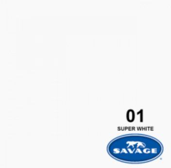 Savage Altri Accessori: Fotohintergrund aus Papier - Super White - 2.72 m – Usato da Muri AG venduto da Betty238 2