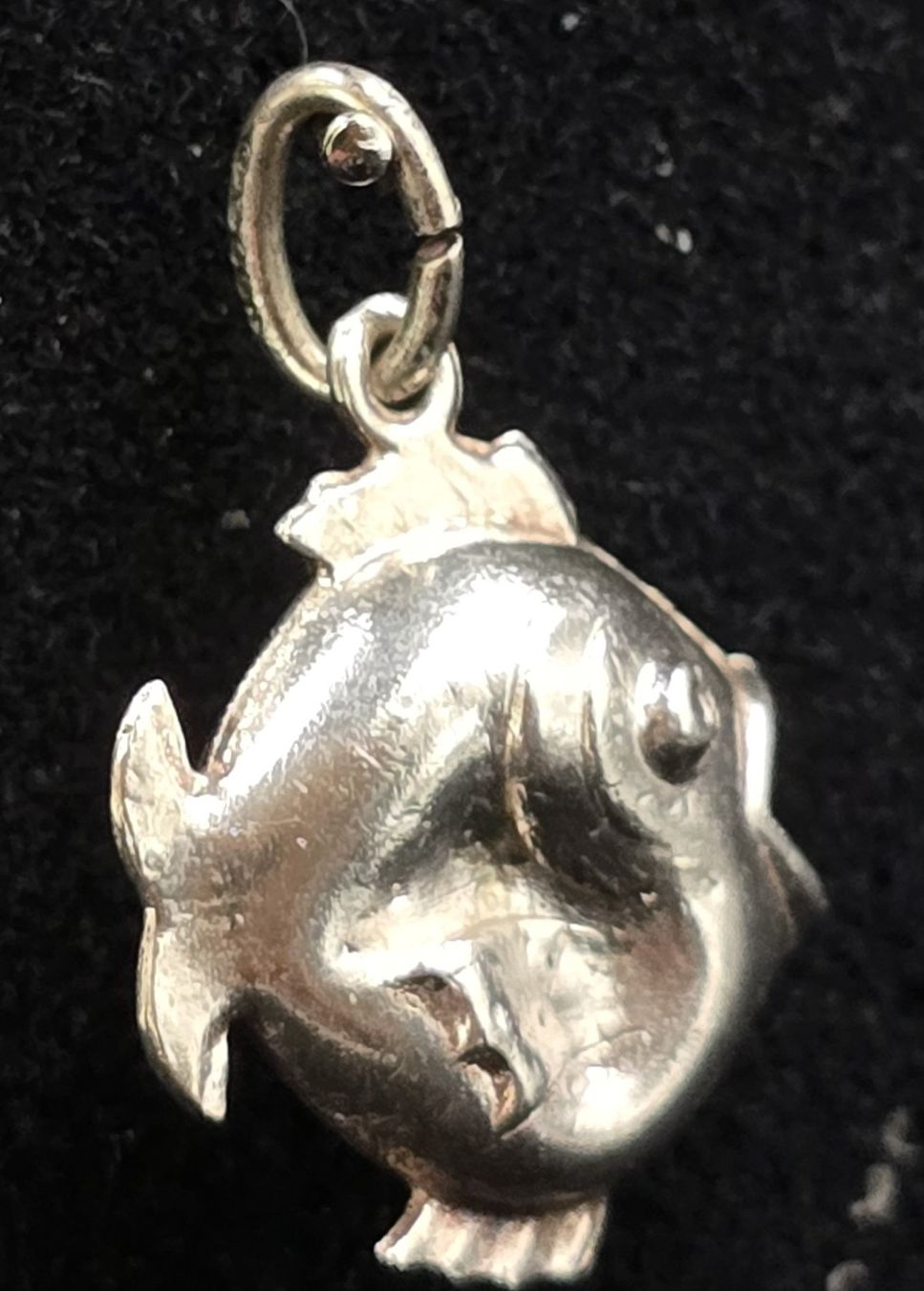Pendentifs: Schmuckanhänger Fisch – D'occasion à Rorschacherberg par snOOpydOg11 3