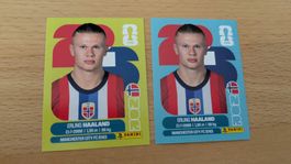 Erling Haaland Sticker Panini WM2026